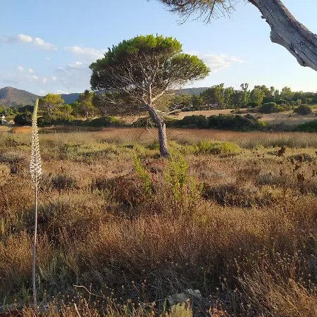 別荘 Wally A Posada, Sardegna