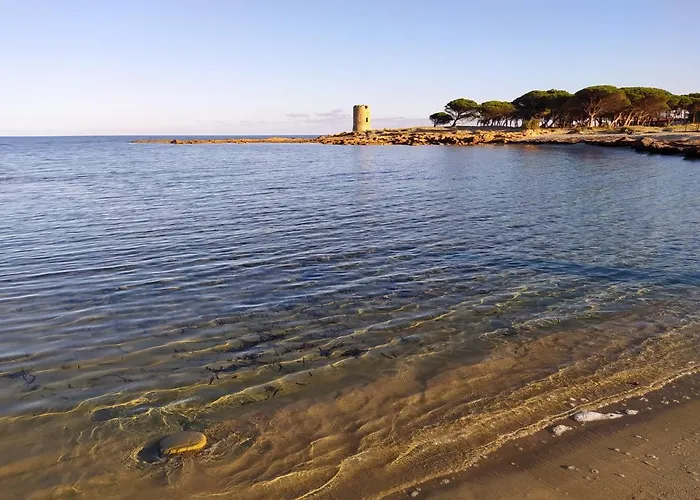 Wally A Posada, Sardegna Nyaraló *