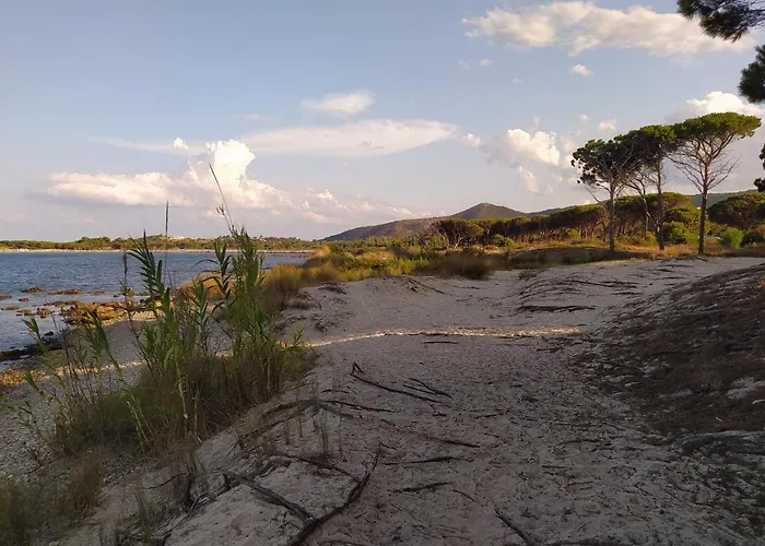 Wally A Posada, Sardegna