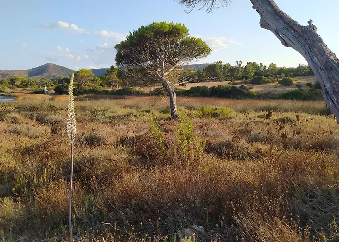 Nyaraló Wally A Posada, Sardegna